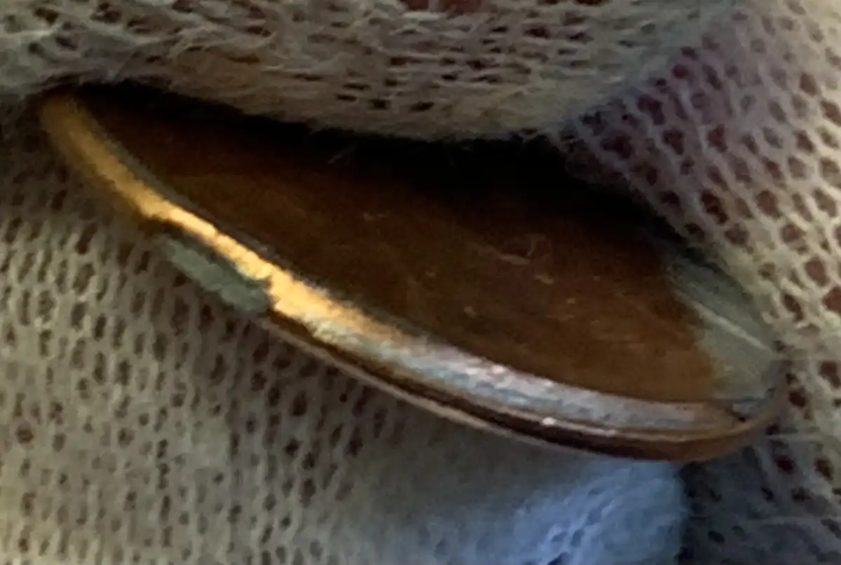 2021---P-Lincoln-Shield-Cent-With-Uncentered-Broadstrike,-Stiff-Collar,-And-Ffd-Coin-#3-Of-3